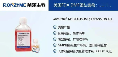 榮澤集團 市場調查成就斐然，穩健前行再譜新篇