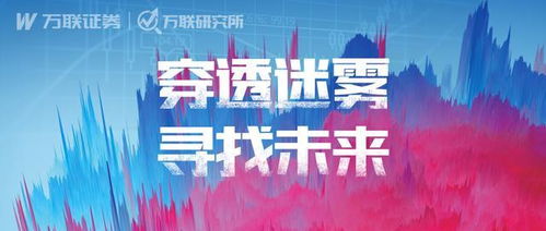 萬(wàn)聯(lián)證券年度A股投資策略報(bào)告 紡織服裝行業(yè)投資管理與咨詢(xún)深度解讀