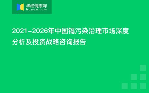 2021-2026年中國(guó)鎘污染治理市場(chǎng)深度分析及投資戰(zhàn)略咨詢(xún)報(bào)告